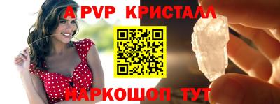 гашик Новозыбков