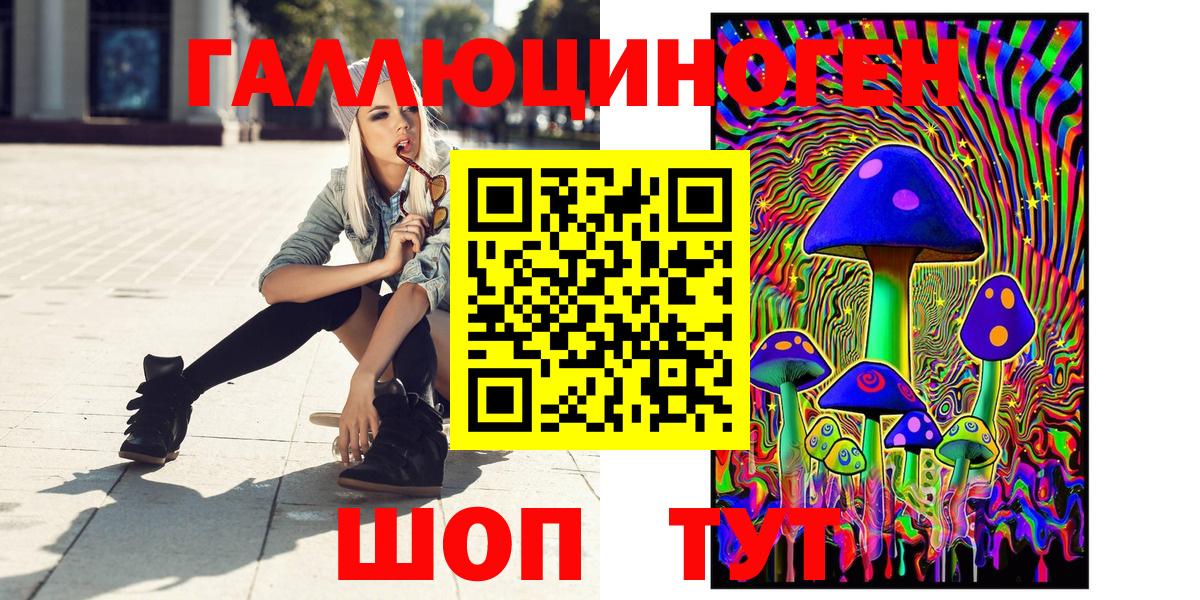 Галлюциногенные грибы Psilocybine cubensis Приморско-Ахтарск