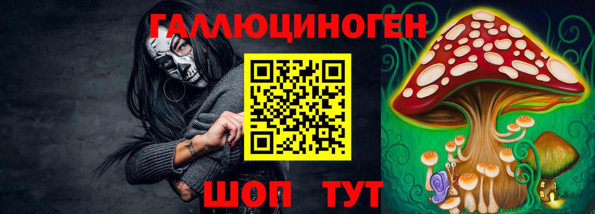Псилоцибиновые грибы GOLDEN TEACHER  Вход с VPN  Приморско-Ахтарск 